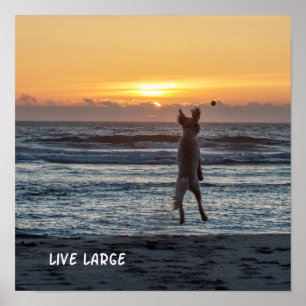 Grande" affiche "vivante de coucher du soleil de