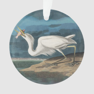 Grande Aigrette d'Audubon : Oiseau côtier vintage