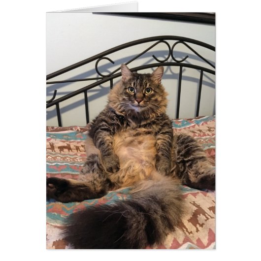 Grande carte blanche énorme chat (Devant)