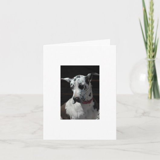 Grande carte Dane toutes les occasions (Devant)