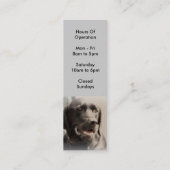 Grande carte de visite professionnelle de visite (Dos)