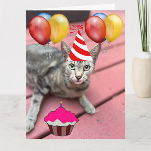 GRANDE carte de voeux CUTE CAT ANNIVERSAIRE