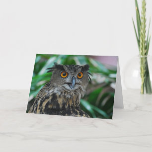 Grande carte de voeux de hibou