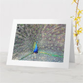 Grande carte de voeux Peacock (Fleur jaune)