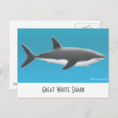 Grande carte postale de requin blanc (Devant / Derrière)