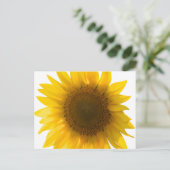 Grande carte postale de tournesol (Debout devant)