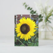 Grande carte postale de tournesol jaune (Debout devant)