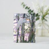 GRANDE CARTE POSTALE EGRET (Debout devant)