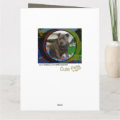 Grande carte | Staffordshire Bull Terrier annivers (Dos)