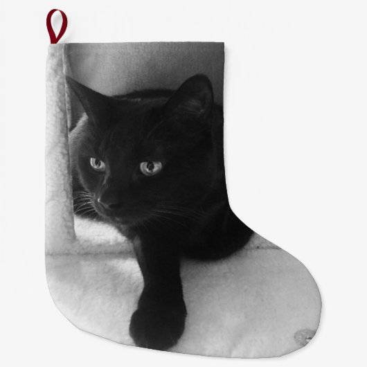 Grande Chaussette De Noël Bas curieux de chat noir (Devant)