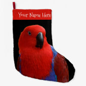Grande Chaussette De Noël Belle "Dame en rouge" Eclectus Parrot (Devant)