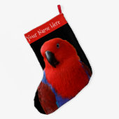 Grande Chaussette De Noël Belle "Dame en rouge" Eclectus Parrot (Dos (Accrochage))