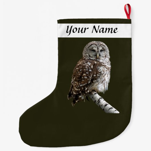 Grande Chaussette De Noël Chouette rayée (Dos)