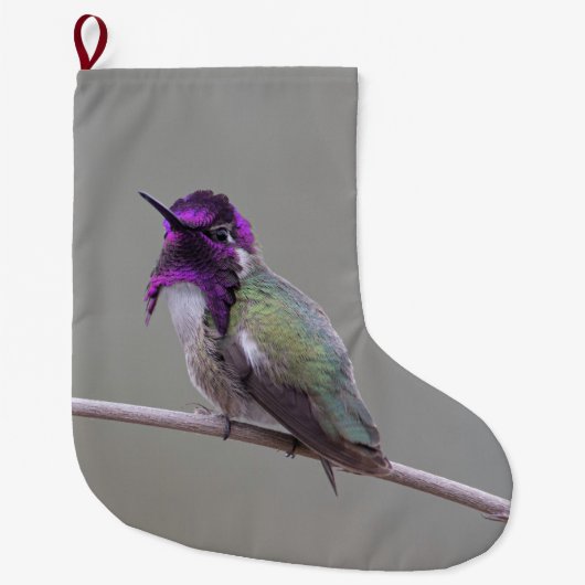 Grande Chaussette De Noël Colibri de Costa (Devant)