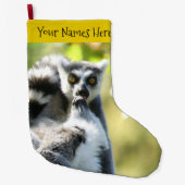 Grande Chaussette De Noël Des lémuriens de Madagascar surpris (Devant)