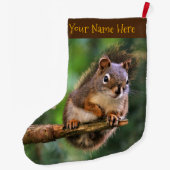 Grande Chaussette De Noël Écureuil rouge souillé dans le Fir (Dos)