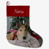 Grande Chaussette De Noël Épreuve de Noël de Collie lisse (Devant)