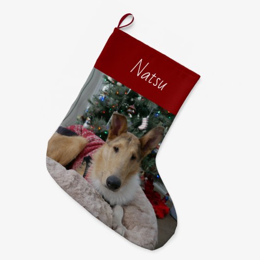 Grande Chaussette De Noël Épreuve de Noël de Collie lisse (Devant (Accrochage))