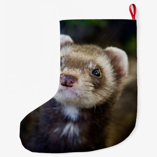 Grande Chaussette De Noël Furet (Dos)