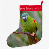 Grande Chaussette De Noël Hahn's Mini Macaw / Macaw à épaulettes rouges (Dos)