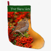 Grande Chaussette De Noël Hermite Thrush Songbird sur l'araignée de feu (Devant)
