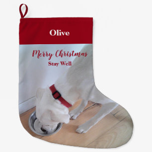 Grande Chaussette De Noël Joli Chien Chien Chien Boire Eau Rouge Noël Grand