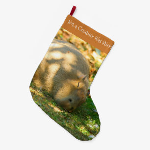 Grande Chaussette De Noël Jolie Capybara rêve dans le soleil d'été