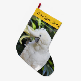 Grande Chaussette De Noël Perroquet drôle à crête soufrée agitant l'aile