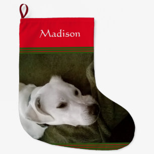 Grande Chaussette De Noël Photo Cute White Labrador Mix Dog Large Christm