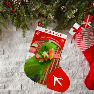 Grande Chaussette De Noël Photo de vacances personnalisé de perroquet de com