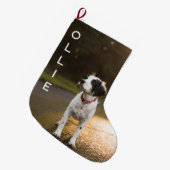 Grande Chaussette De Noël Première photo de Noël de l'animal (Devant (Accrochage))