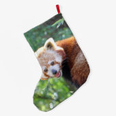 Grande Chaussette De Noël Red_Panda_2015_0306 (Dos (Accrochage))