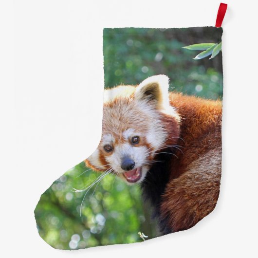 Grande Chaussette De Noël Red_Panda_2015_0306 (Dos)