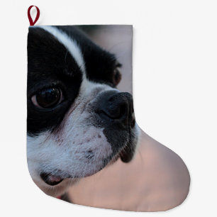 Grande Chaussette De Noël Terrier de Boston