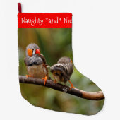 Grande Chaussette De Noël Une paire de coquins Zebra Finches Songbirds (Devant)