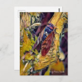 Grande Cicada Brown : Carte postale (Devant / Derrière)