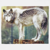 Grande couverture de loup (S, M, L tailles) (Devant (Horizontal))