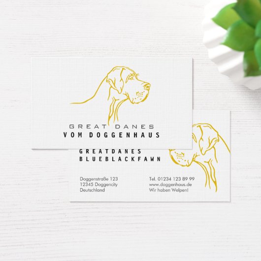 Grande Dane Pure (Bureau)