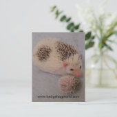 Grande et petite carte postale de taches (Debout devant)