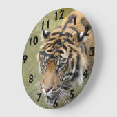 Grande horloge de tigre (Angle)