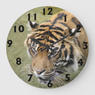 Grande horloge de tigre