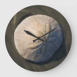 Grande Horloge Ronde A Sand Dollar