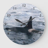 Alaska Orca Whale Ocean Photo Conçu