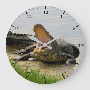 Grande Horloge Ronde Alligator américain