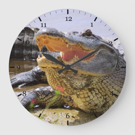 Grande Horloge Ronde Alligator américain (Recto)