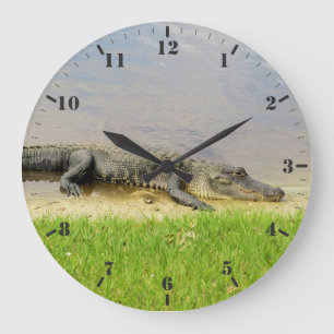 Grande Horloge Ronde Alligator de Floride Nice et calme