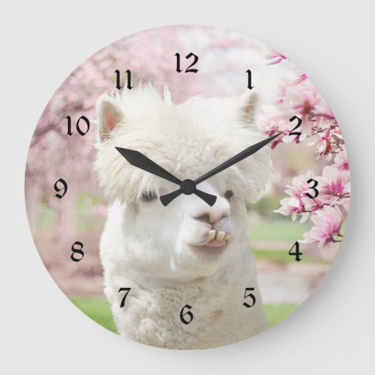 Grande Horloge Ronde Alpaca blanc (Recto)