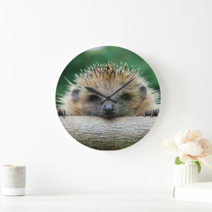Grande Horloge Ronde Animaux de bébés cutest   Hedgehog Smile