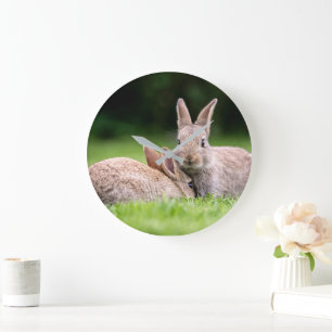Grande Horloge Ronde Animaux de bébés cutest Lapins de lapin sauvage