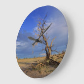 Grande Horloge Ronde Arbre de Chameau Mort (Acacia Erioloba) (Angle)